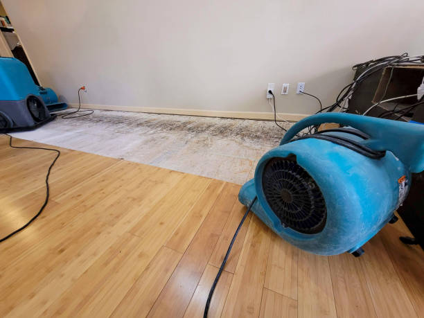 Professional Water Damage Repair technician working in Dunbar, SC